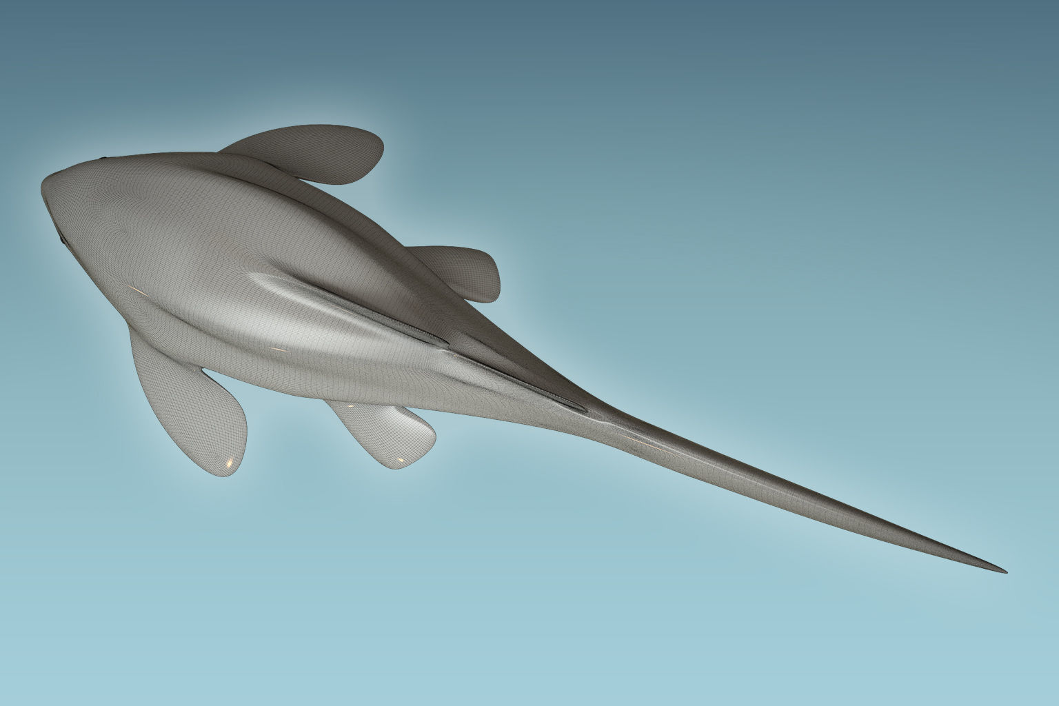 Zebra Shark 3D model_8