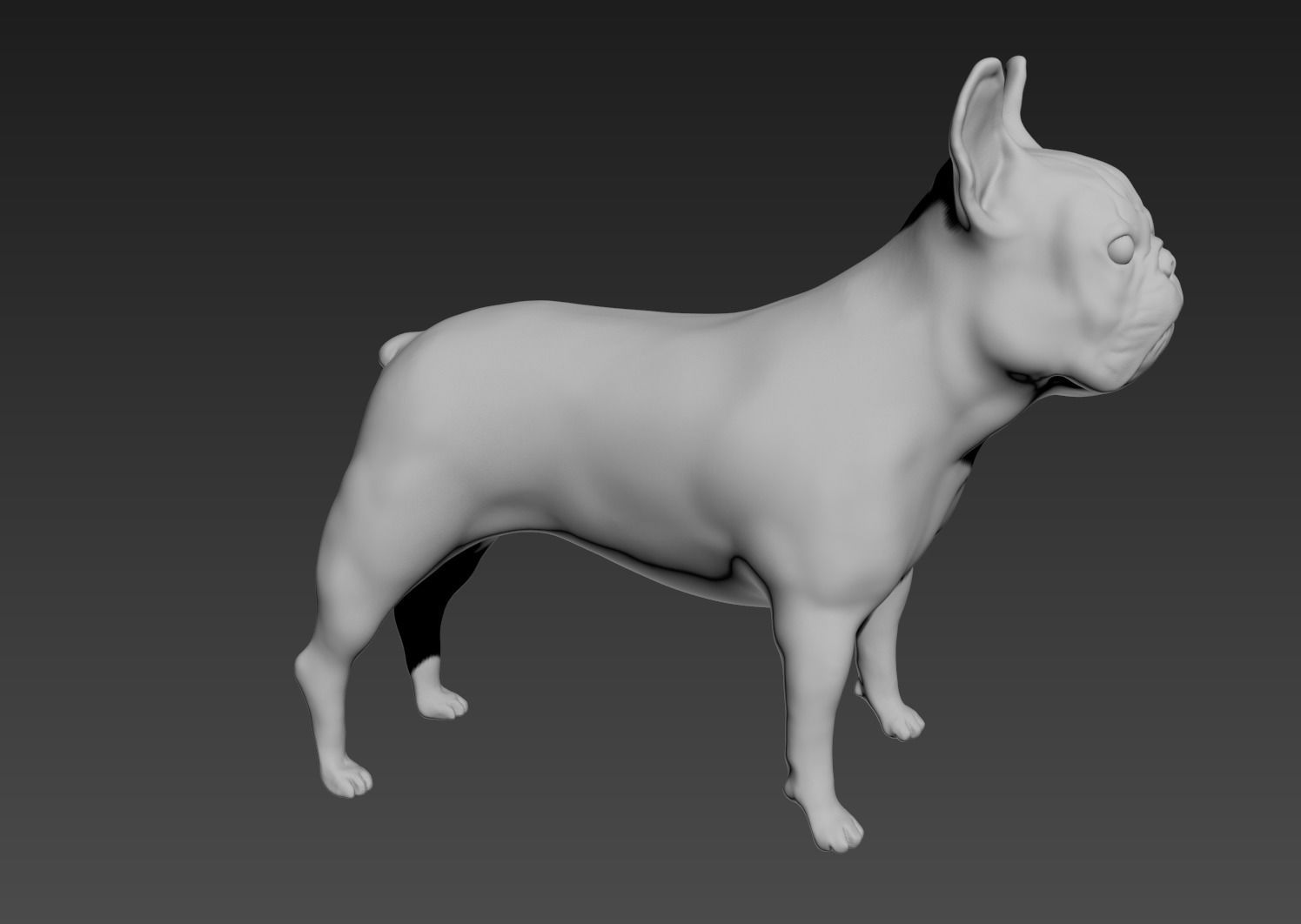 French Bulldog 3D print model_2