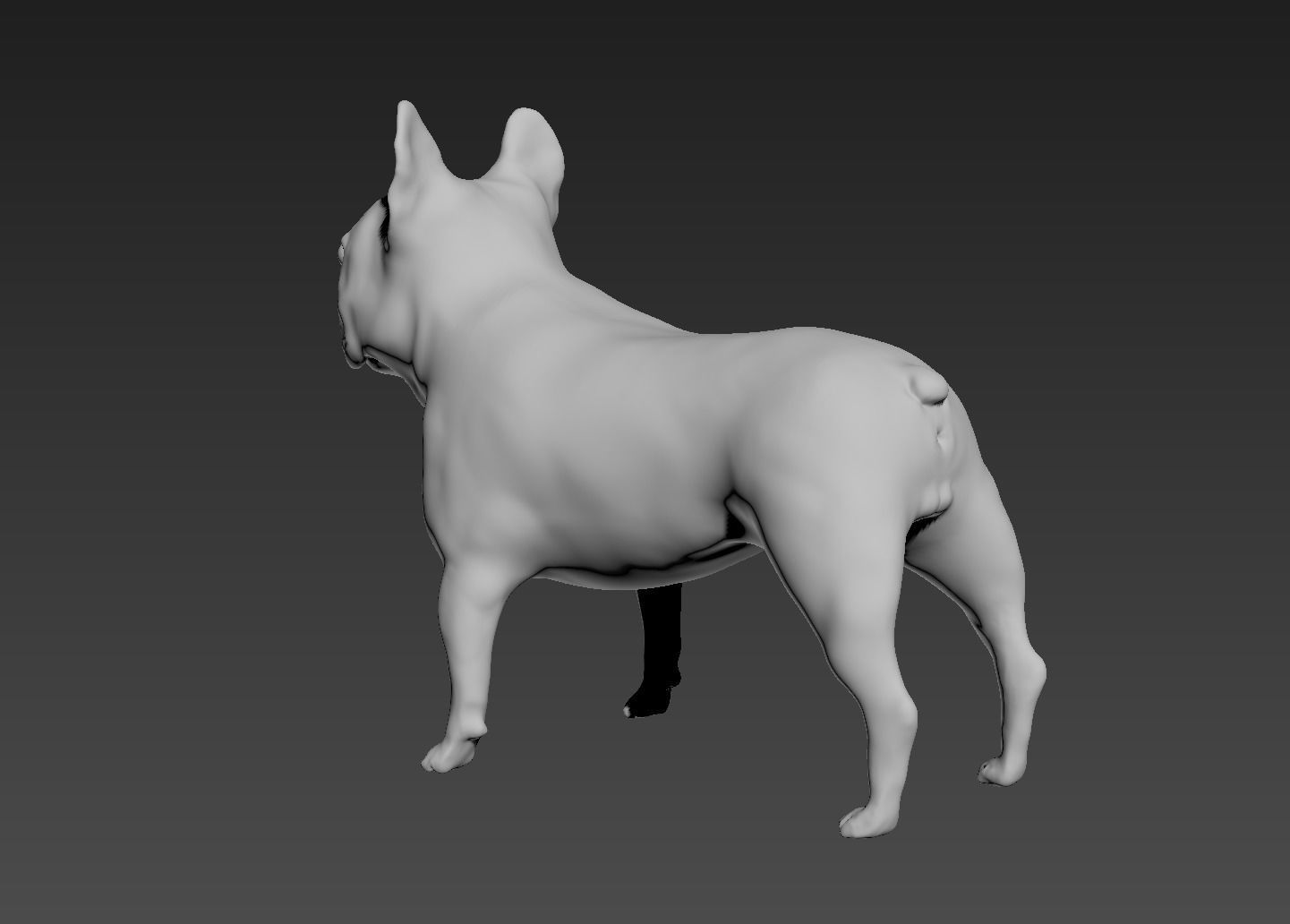 French Bulldog 3D print model_1