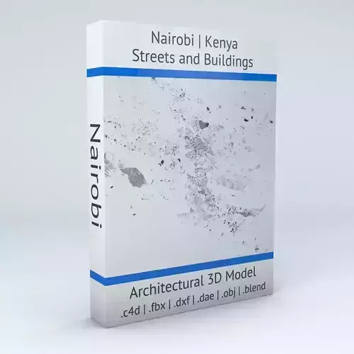 Nairobi Streets and Buildings 3D model