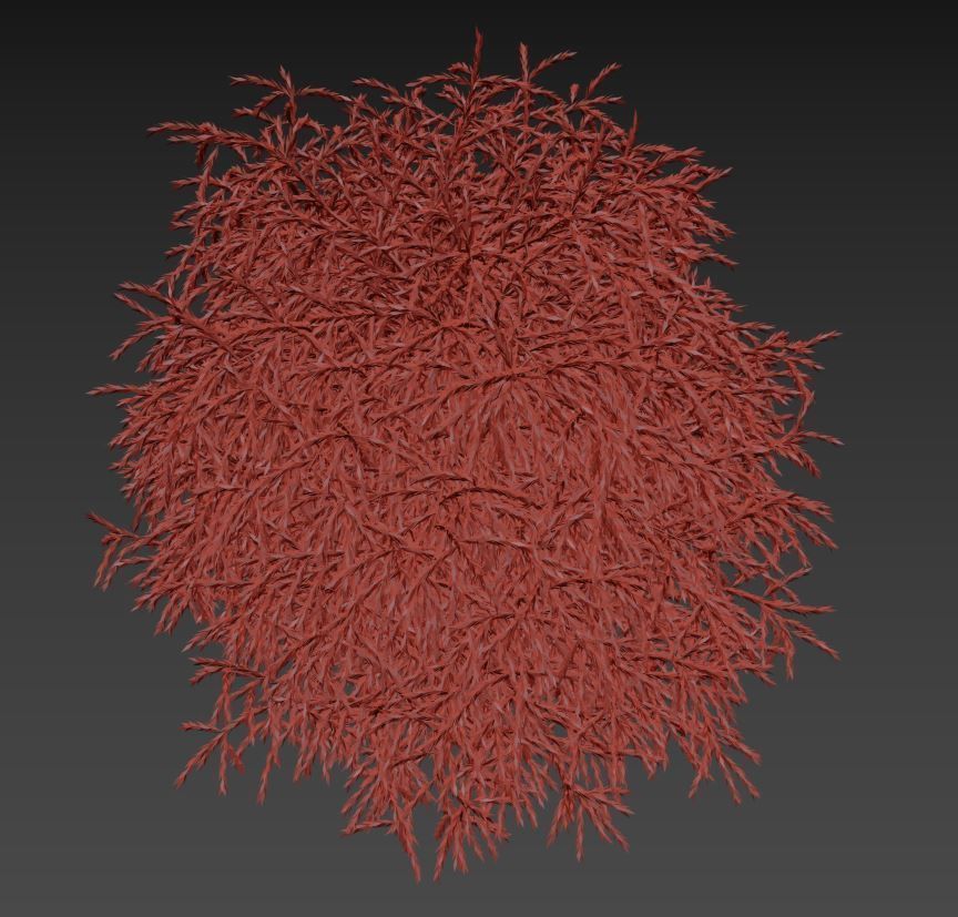 Cryptomeria Low-poly 3D model_7