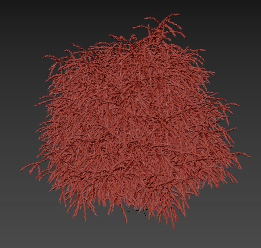 Cryptomeria Low-poly 3D model_6