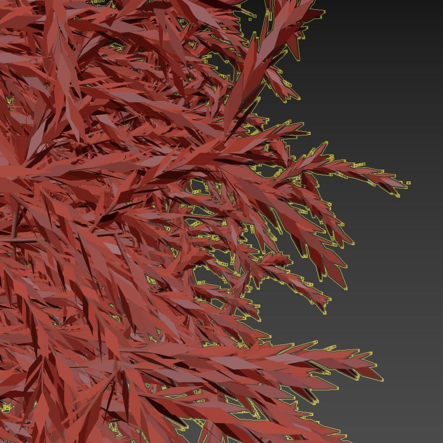 Cryptomeria Low-poly 3D model_8