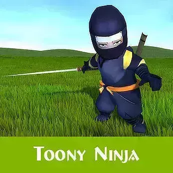 Toon Ninja