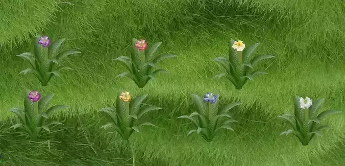 Rose color - Wide leaves flower