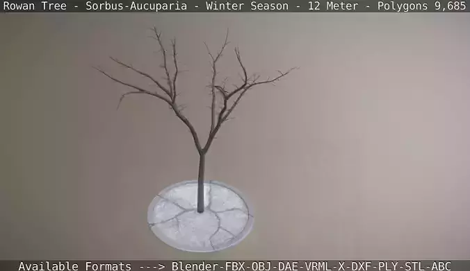  Rowan Tree - Sorbus-Aucuparia - 12m - Winter Low-poly 3D model