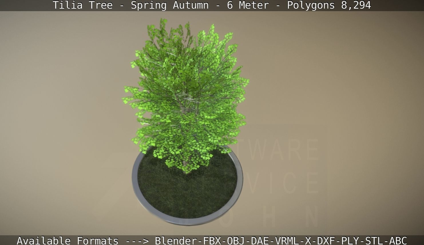 Rowan Tree - Sorbus-Aucuparia - 12m - All Season Package Low-poly 3D model_20