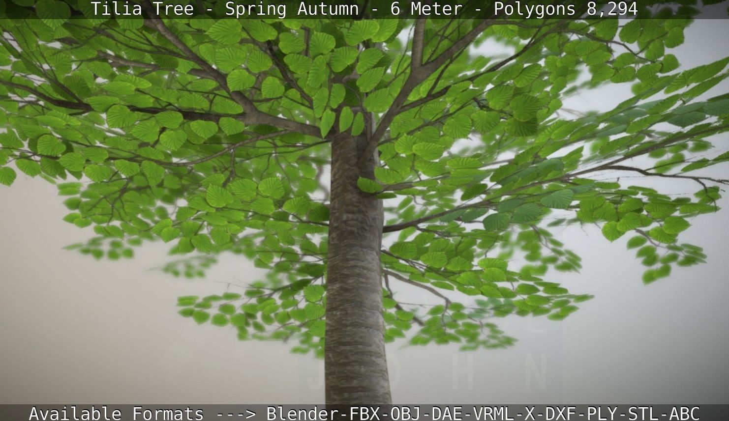 Rowan Tree - Sorbus-Aucuparia - 12m - All Season Package Low-poly 3D model_43