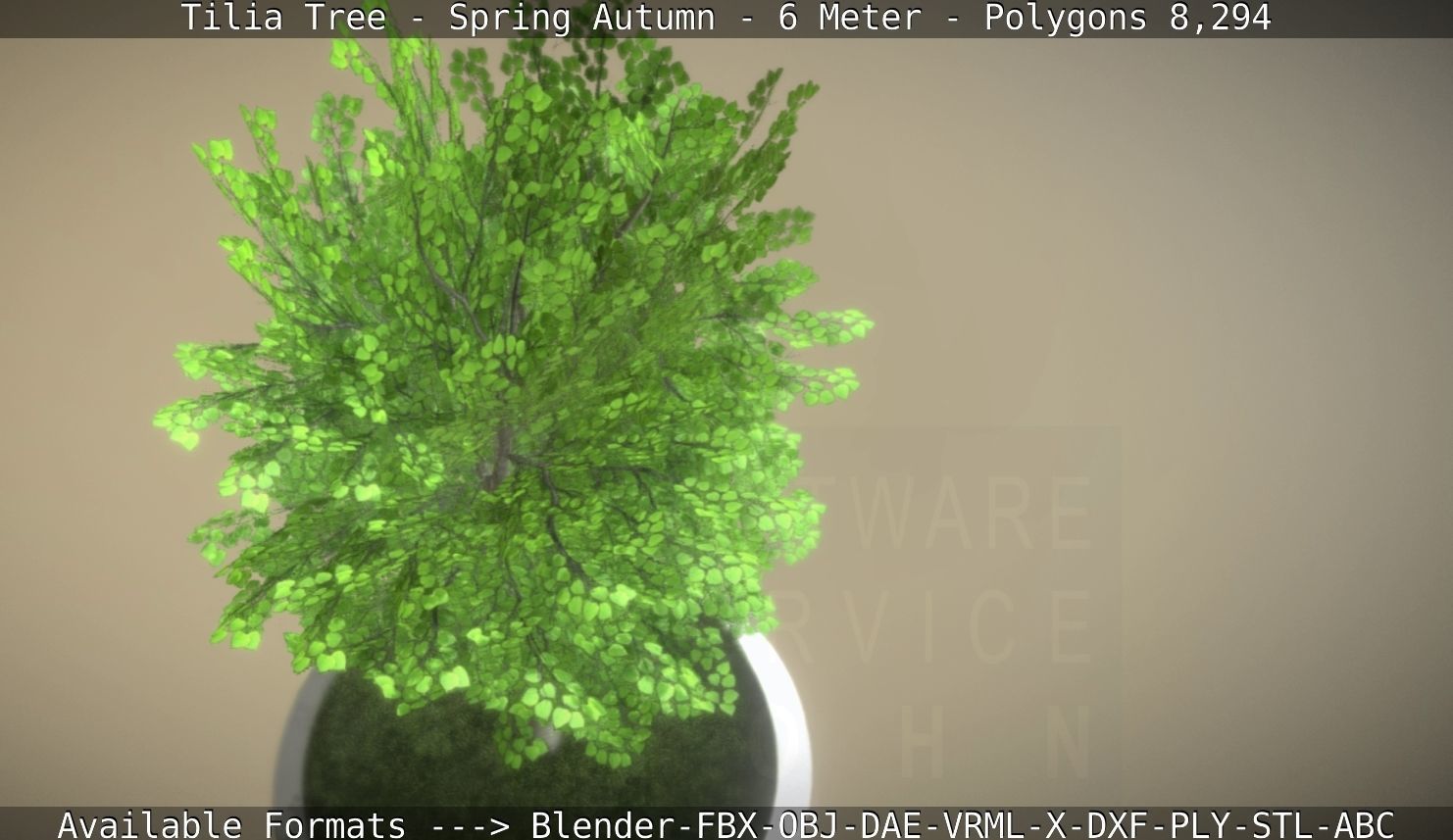 Rowan Tree - Sorbus-Aucuparia - 12m - All Season Package Low-poly 3D model_30