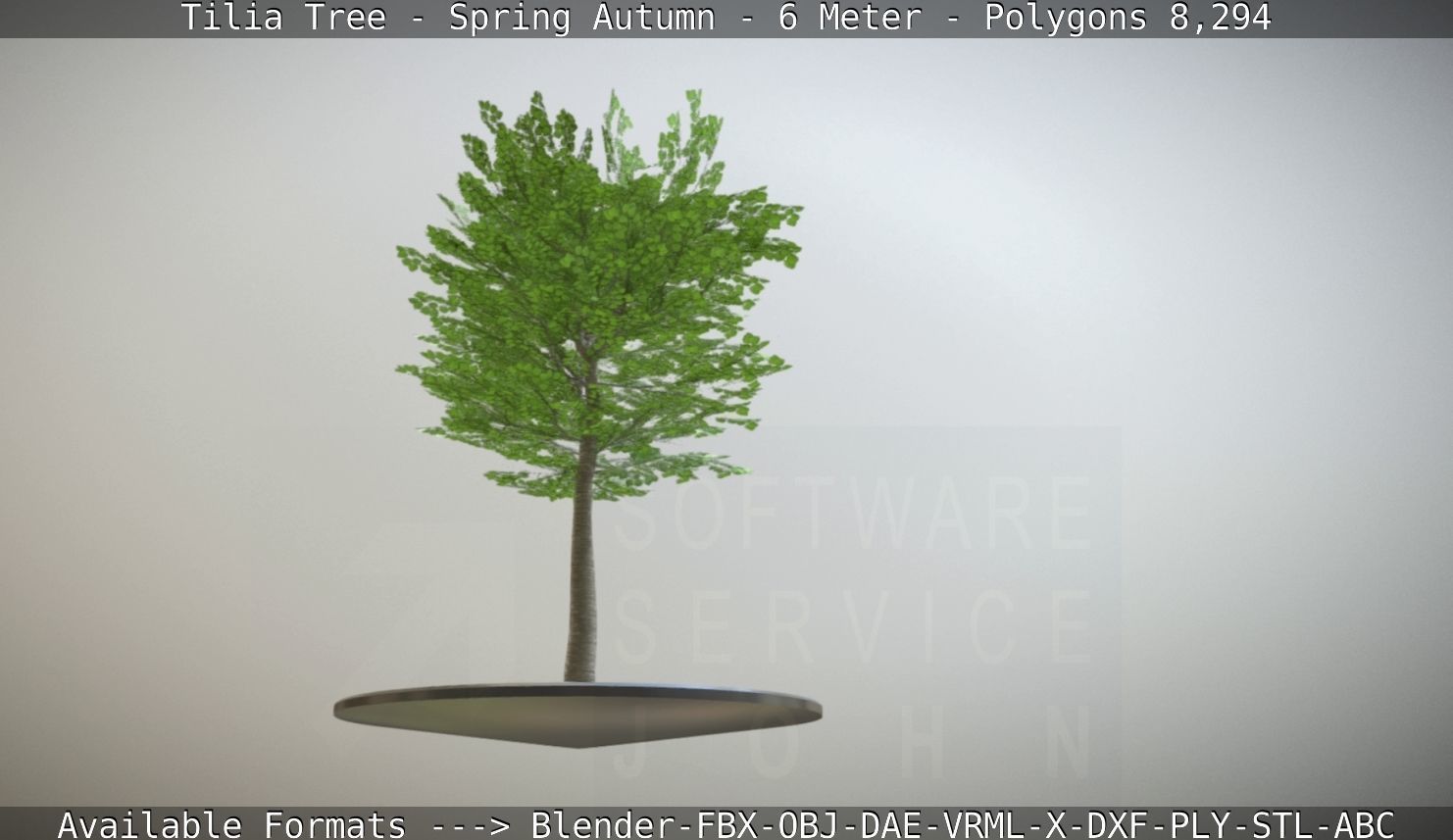 Rowan Tree - Sorbus-Aucuparia - 12m - All Season Package Low-poly 3D model_26