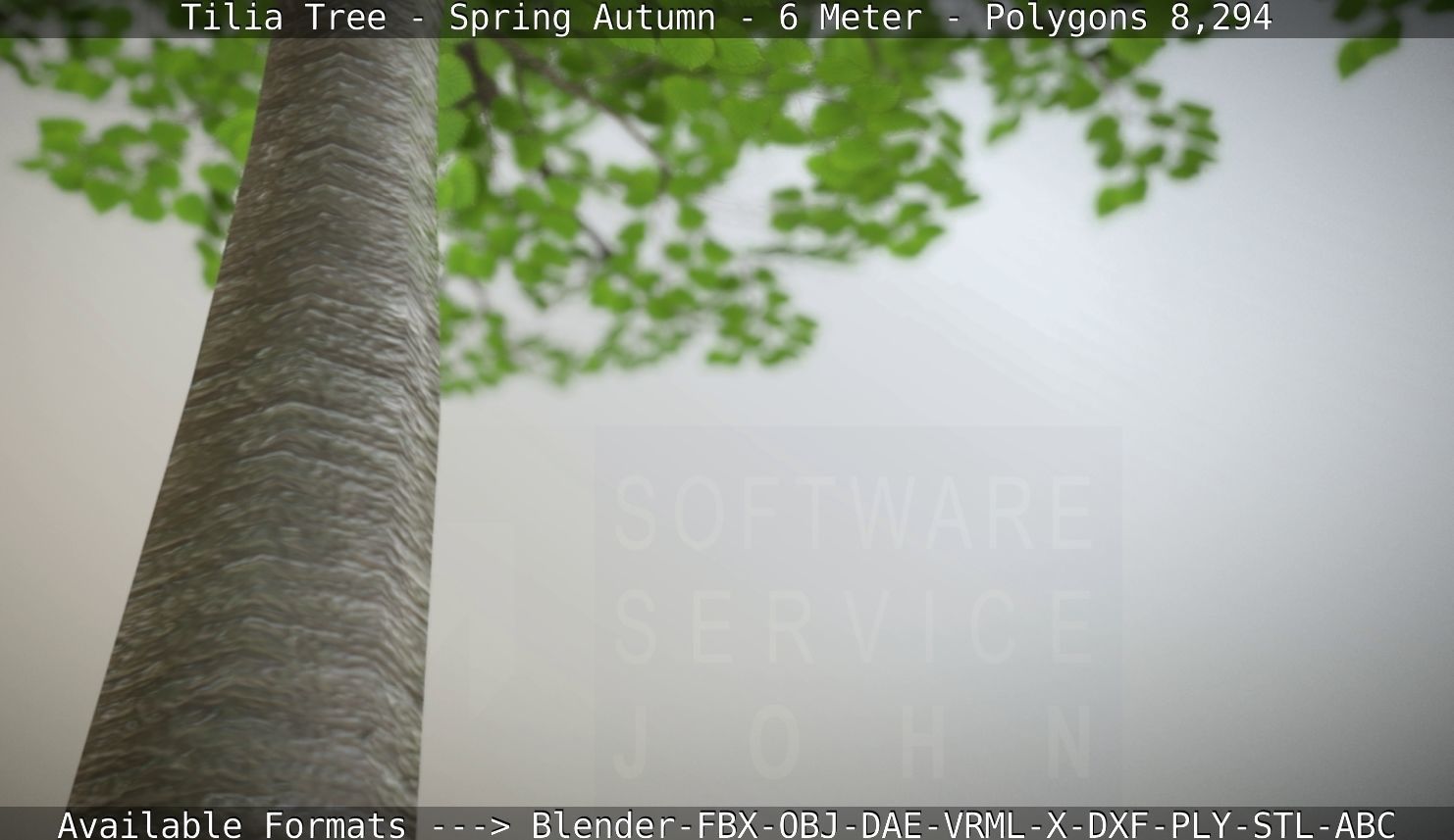 Rowan Tree - Sorbus-Aucuparia - 12m - All Season Package Low-poly 3D model_29