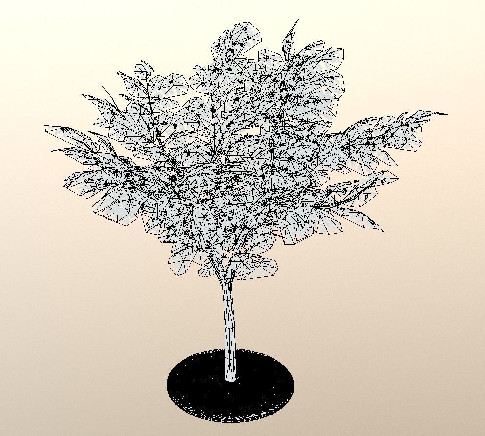 Rowan Tree - Sorbus-Aucuparia - 12m - All Season Package Low-poly 3D model_8