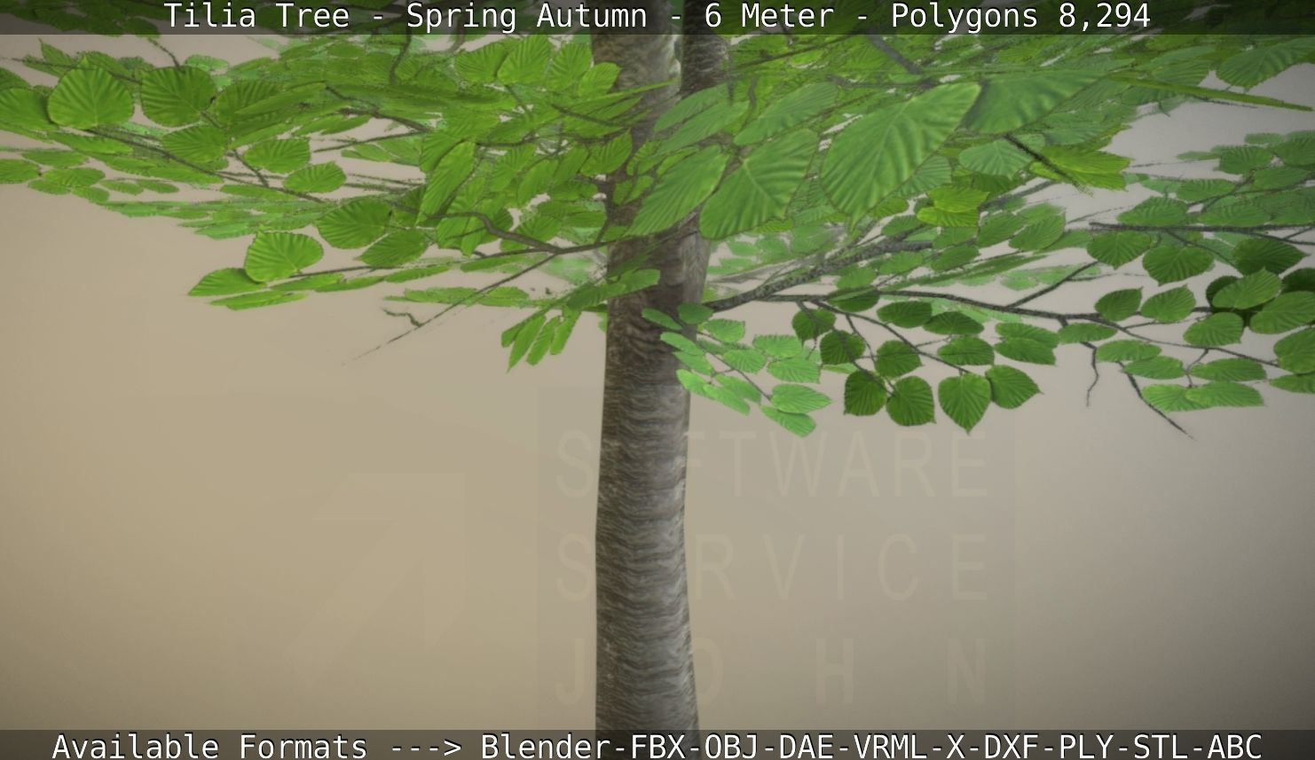 Rowan Tree - Sorbus-Aucuparia - 12m - All Season Package Low-poly 3D model_37