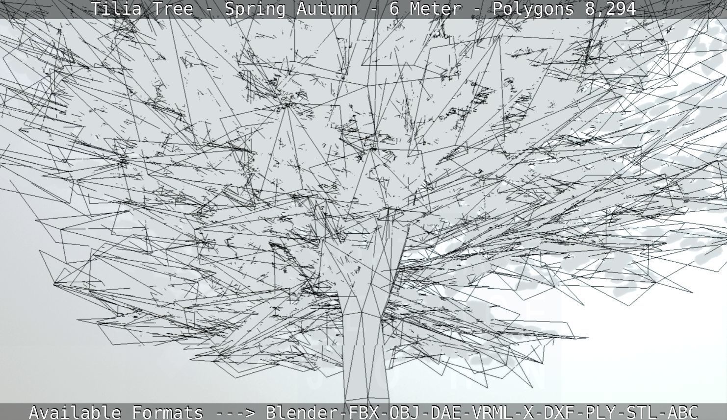 Rowan Tree - Sorbus-Aucuparia - 12m - All Season Package Low-poly 3D model_41