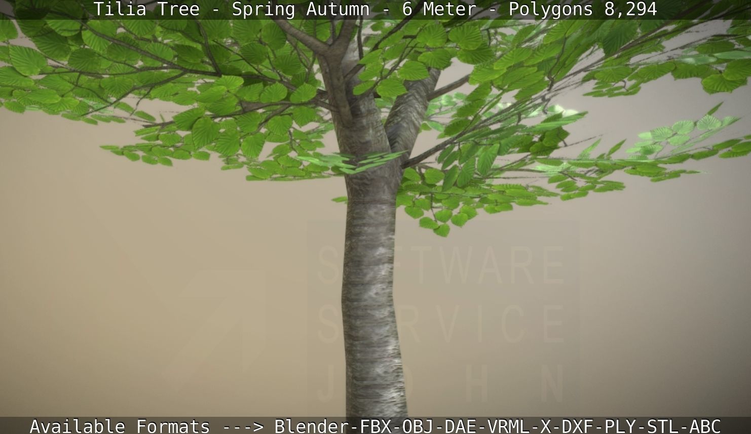 Rowan Tree - Sorbus-Aucuparia - 12m - All Season Package Low-poly 3D model_28