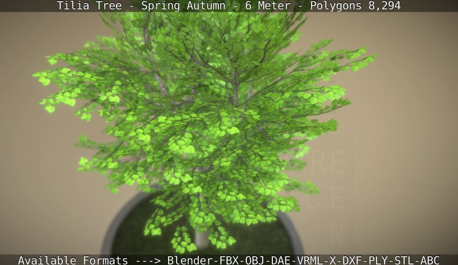 Rowan Tree - Sorbus-Aucuparia - 12m - All Season Package Low-poly 3D model_38