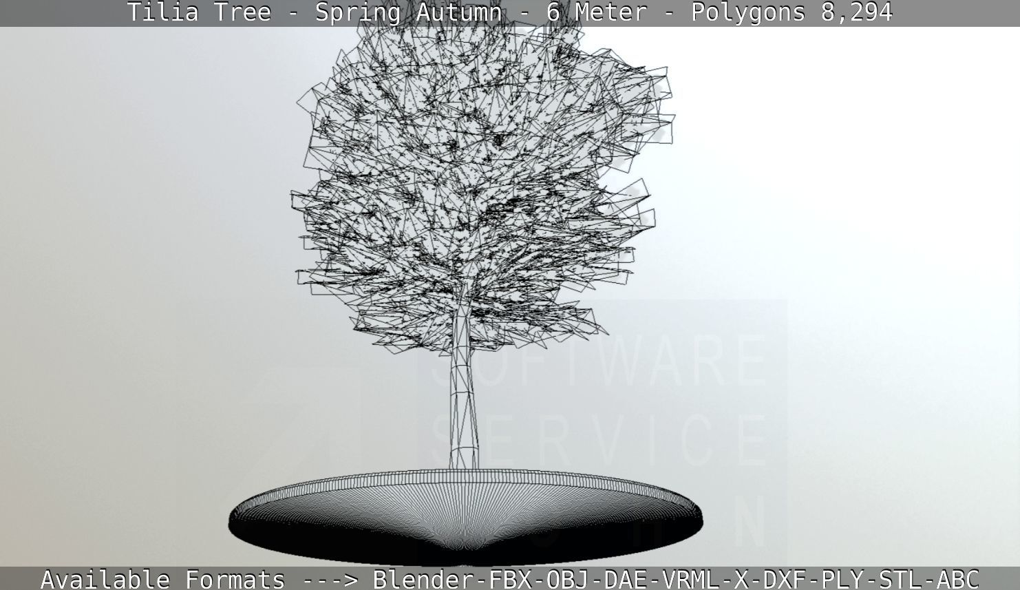 Rowan Tree - Sorbus-Aucuparia - 12m - All Season Package Low-poly 3D model_22