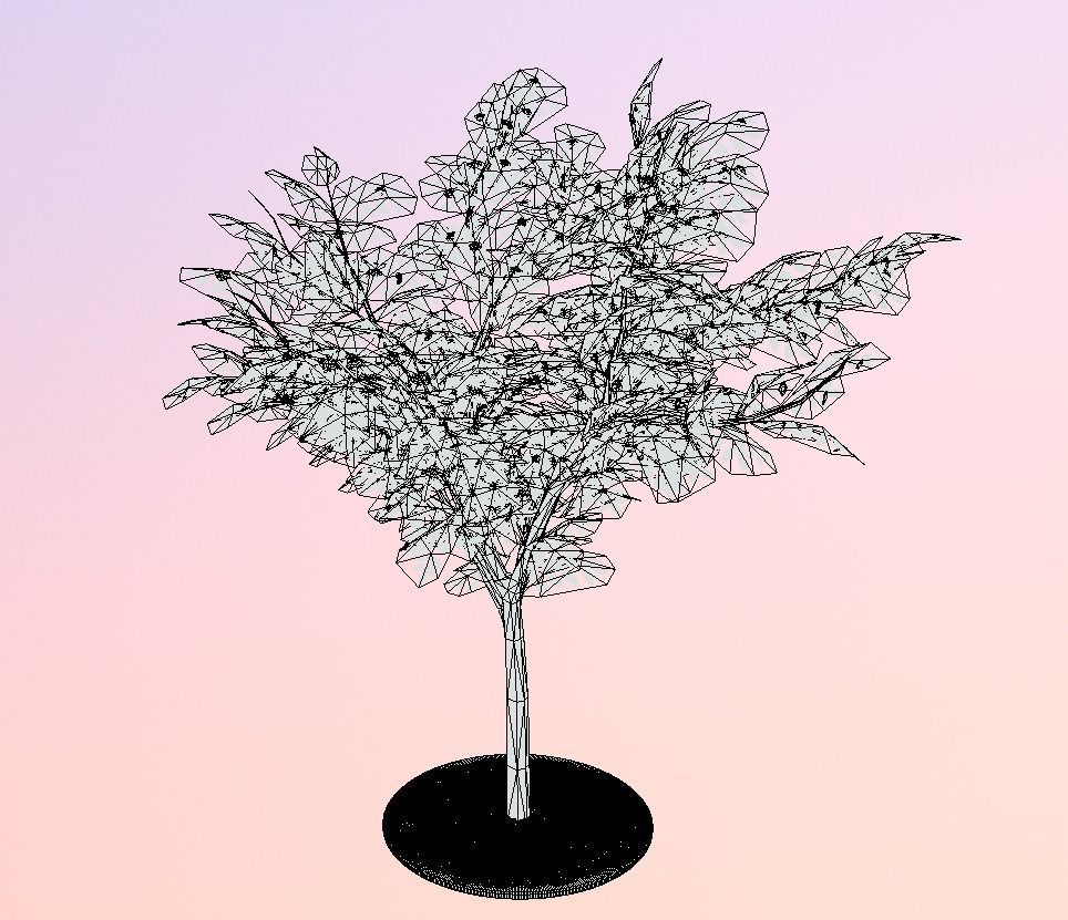 Rowan Tree - Sorbus-Aucuparia - 12m - All Season Package Low-poly 3D model_11