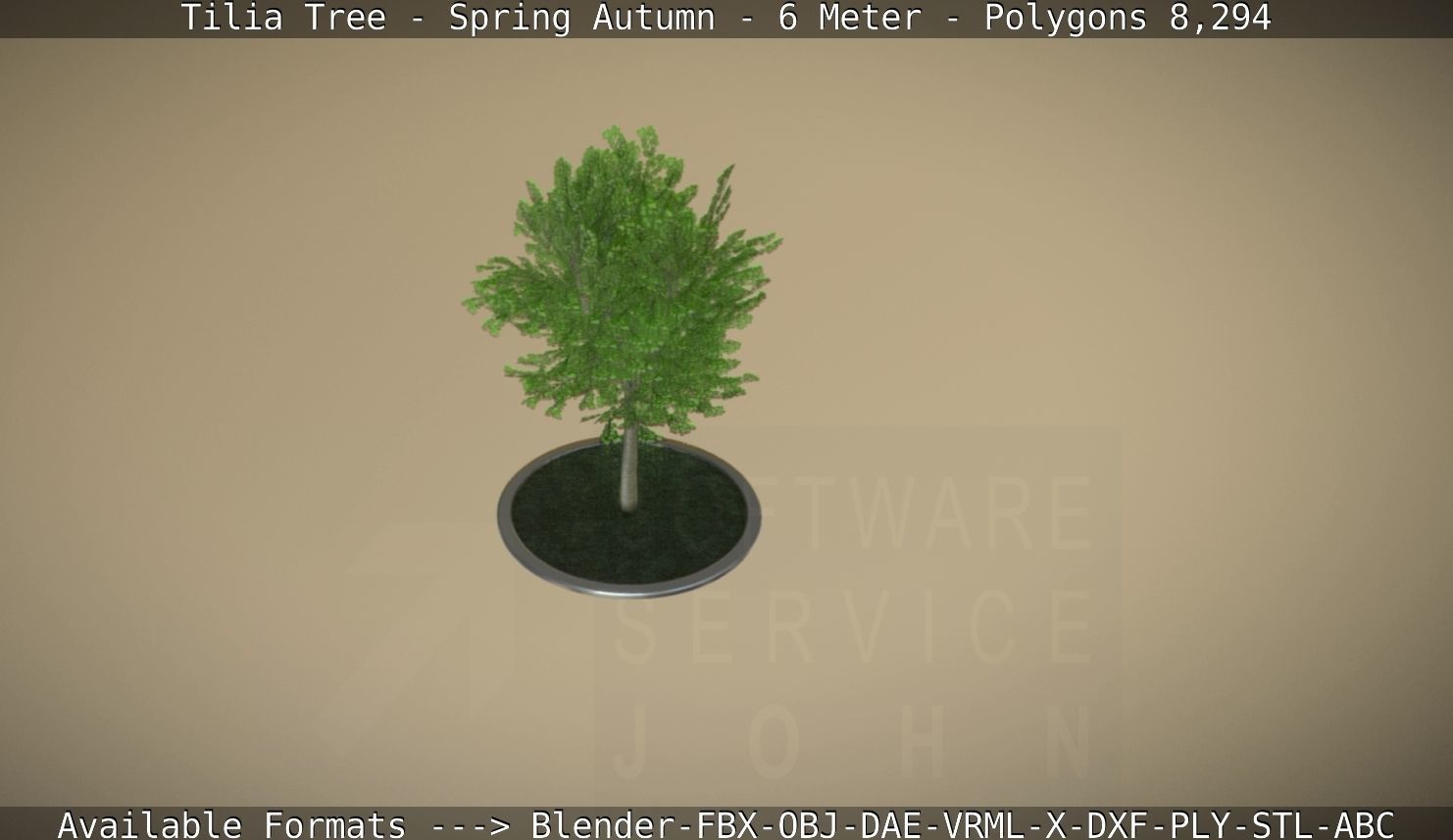 Rowan Tree - Sorbus-Aucuparia - 12m - All Season Package Low-poly 3D model_27