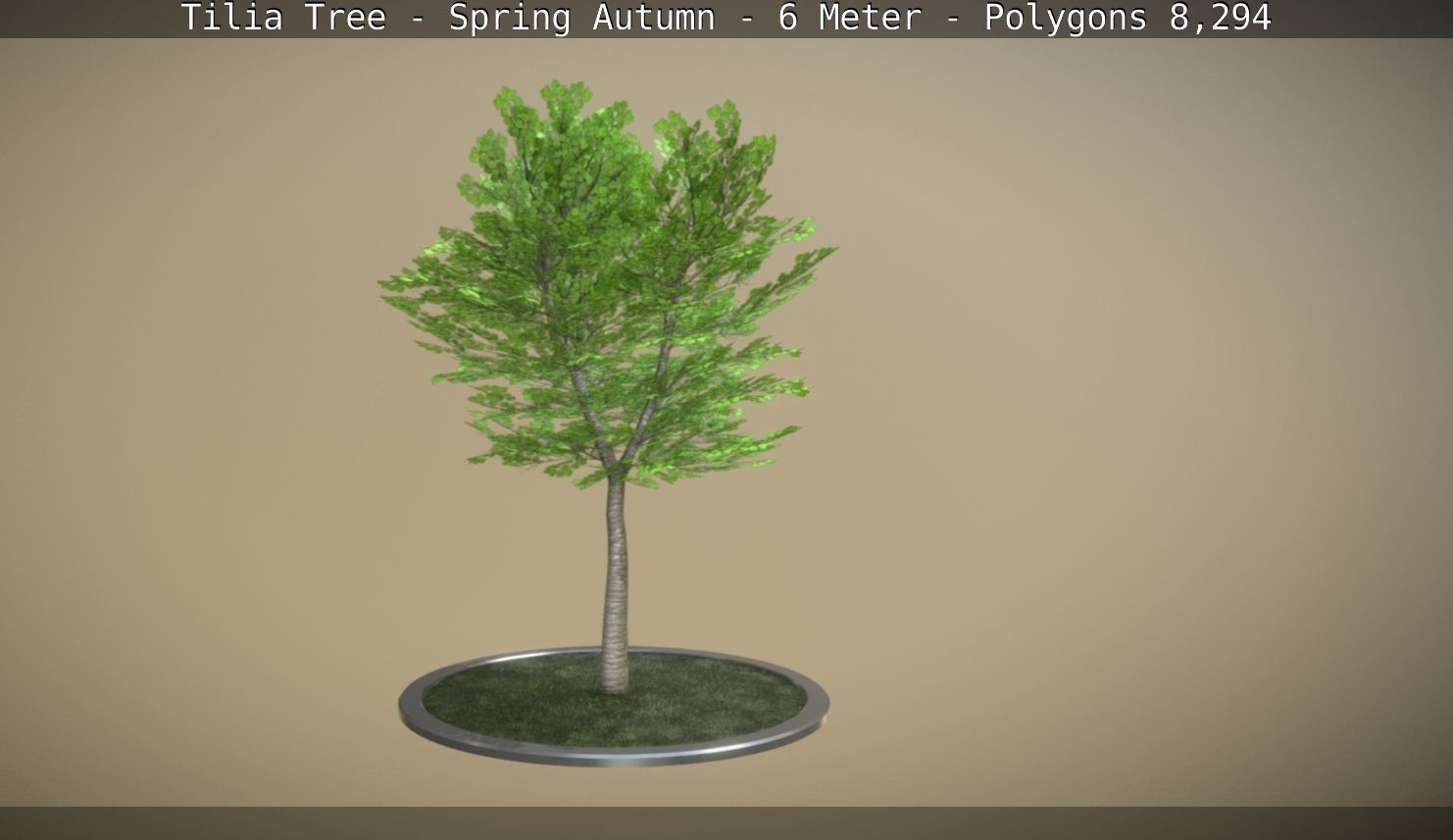 Rowan Tree - Sorbus-Aucuparia - 12m - All Season Package Low-poly 3D model_34