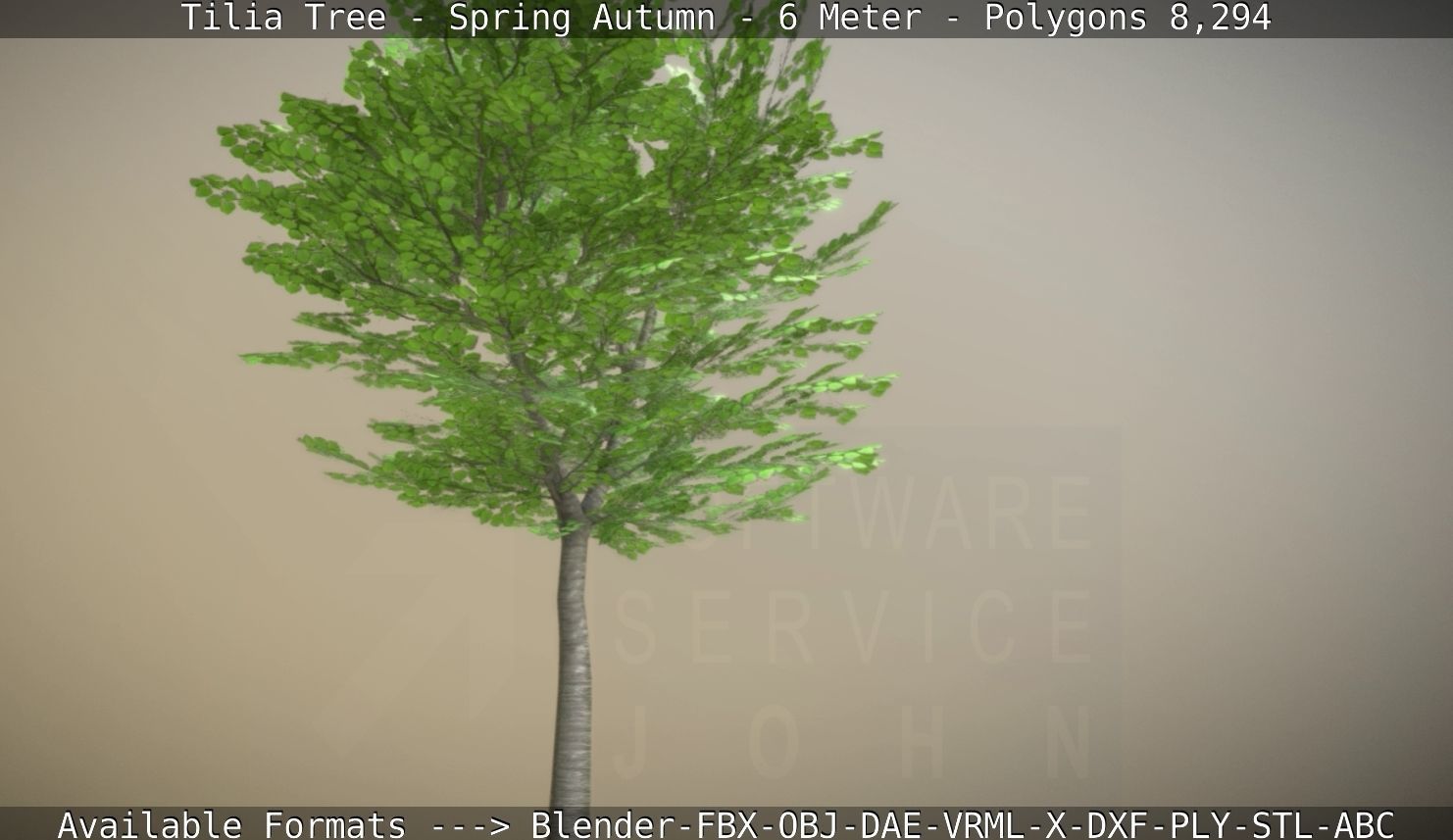 Rowan Tree - Sorbus-Aucuparia - 12m - All Season Package Low-poly 3D model_36