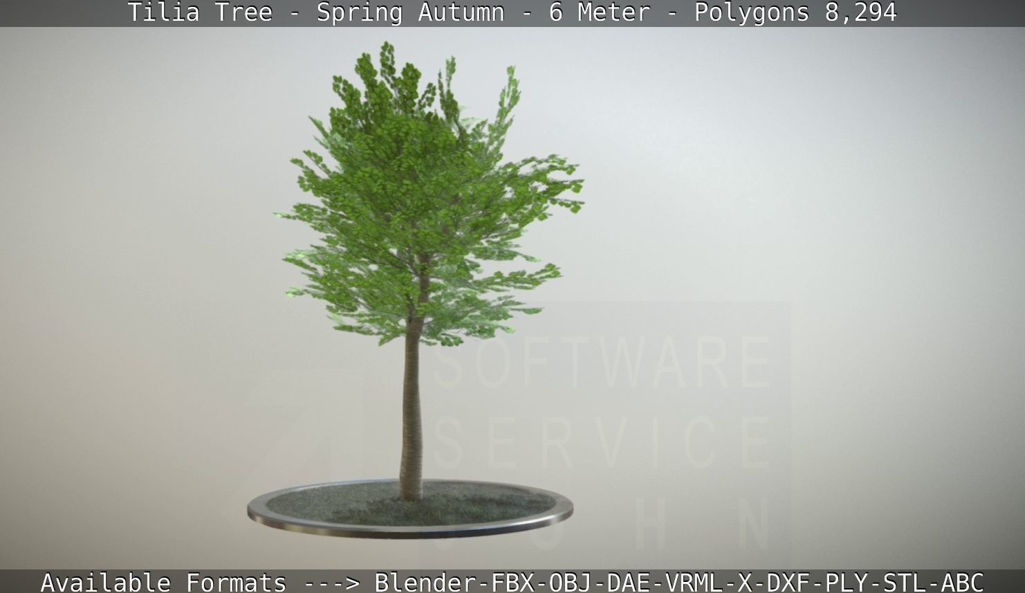 Rowan Tree - Sorbus-Aucuparia - 12m - All Season Package Low-poly 3D model_19