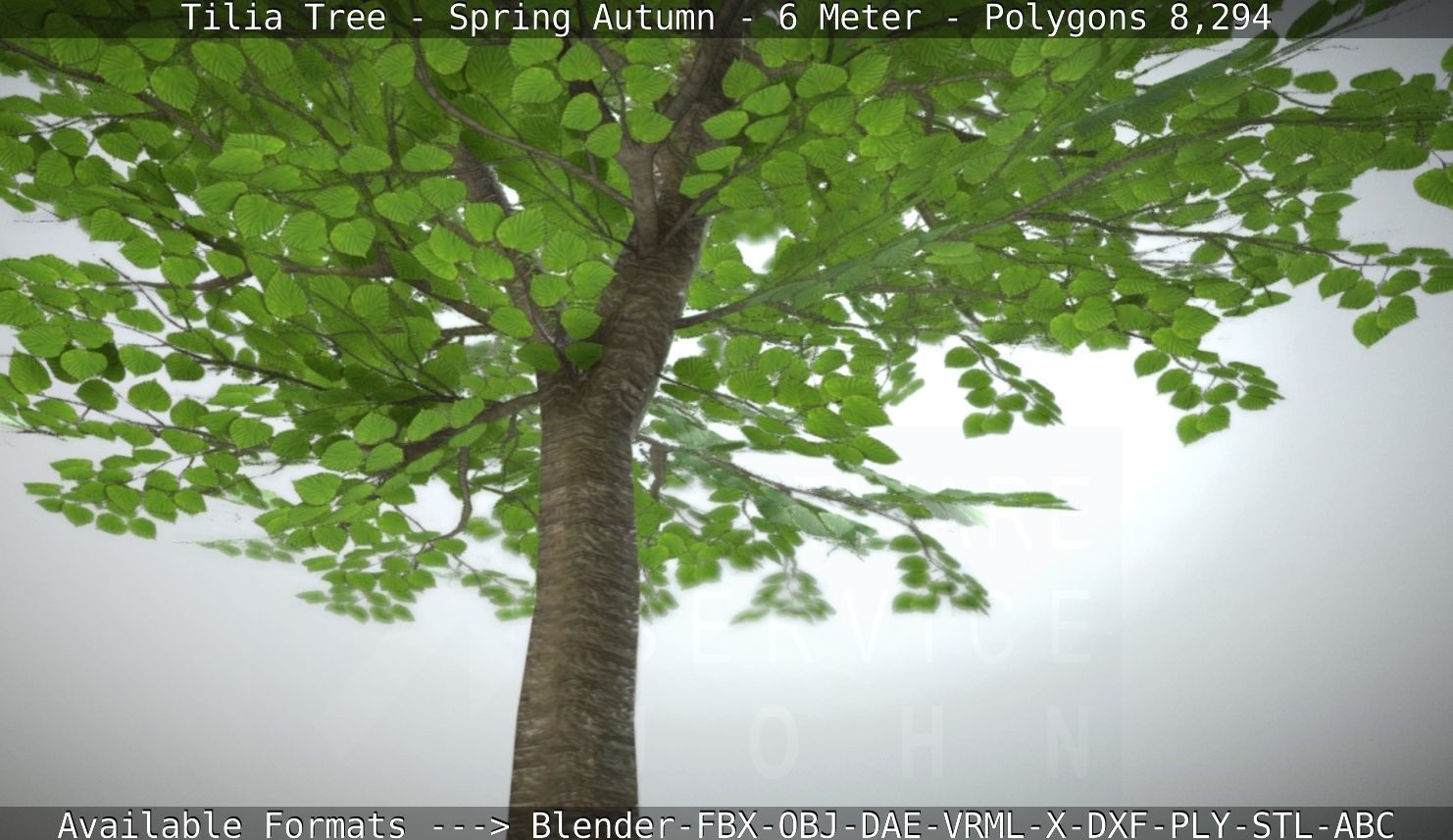 Rowan Tree - Sorbus-Aucuparia - 12m - All Season Package Low-poly 3D model_35