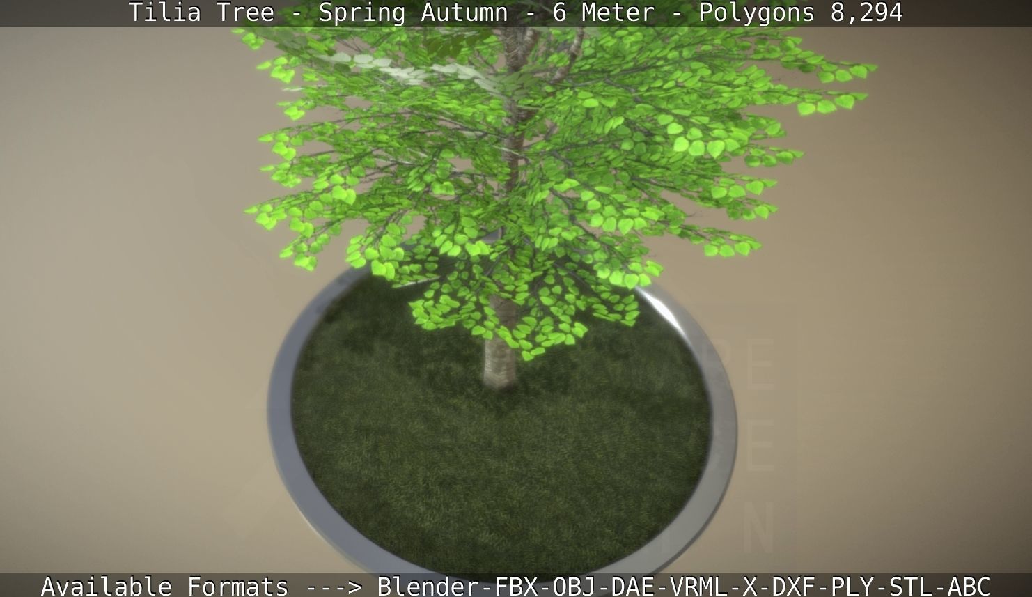 Rowan Tree - Sorbus-Aucuparia - 12m - All Season Package Low-poly 3D model_32
