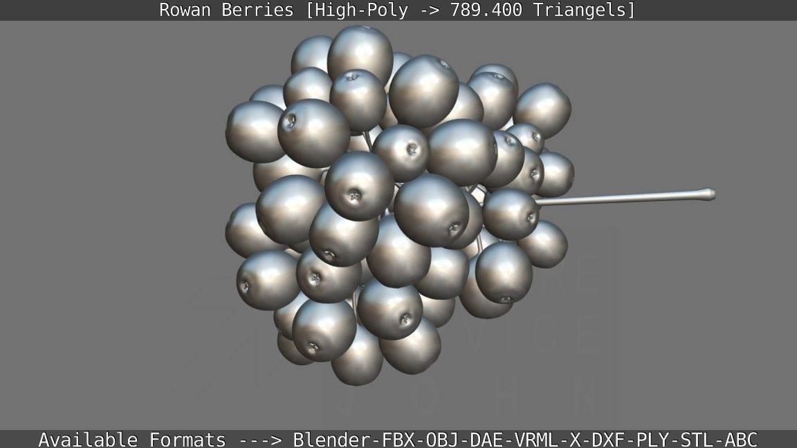 Rowan Berries High Poly 3D model_142