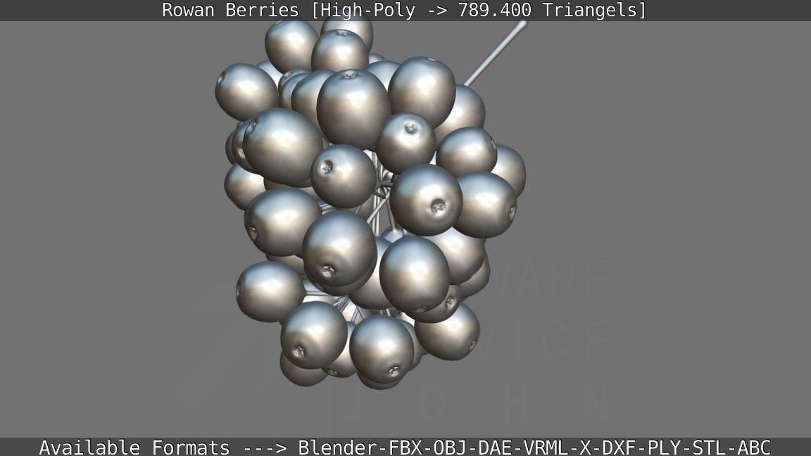 Rowan Berries High Poly 3D model_146