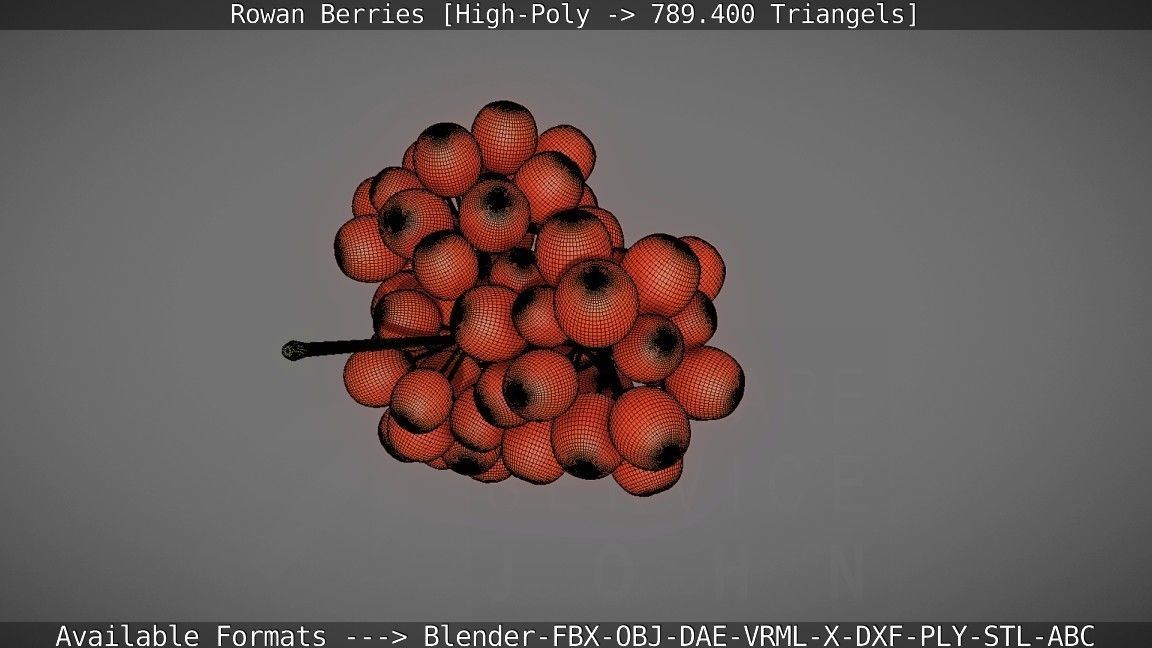 Rowan Berries High Poly 3D model_119