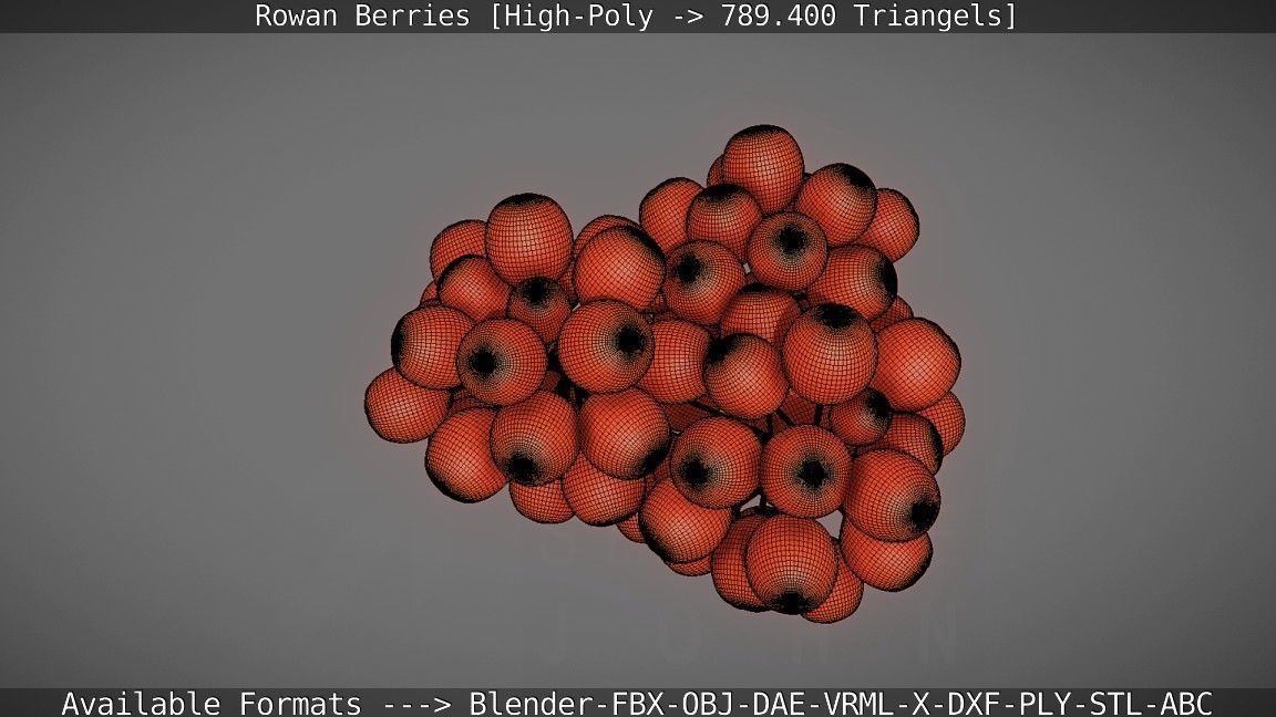 Rowan Berries High Poly 3D model_121