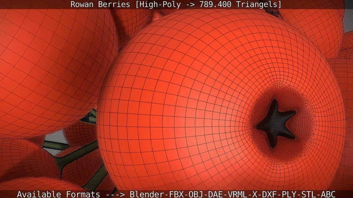 Rowan Berries High Poly 3D model_69