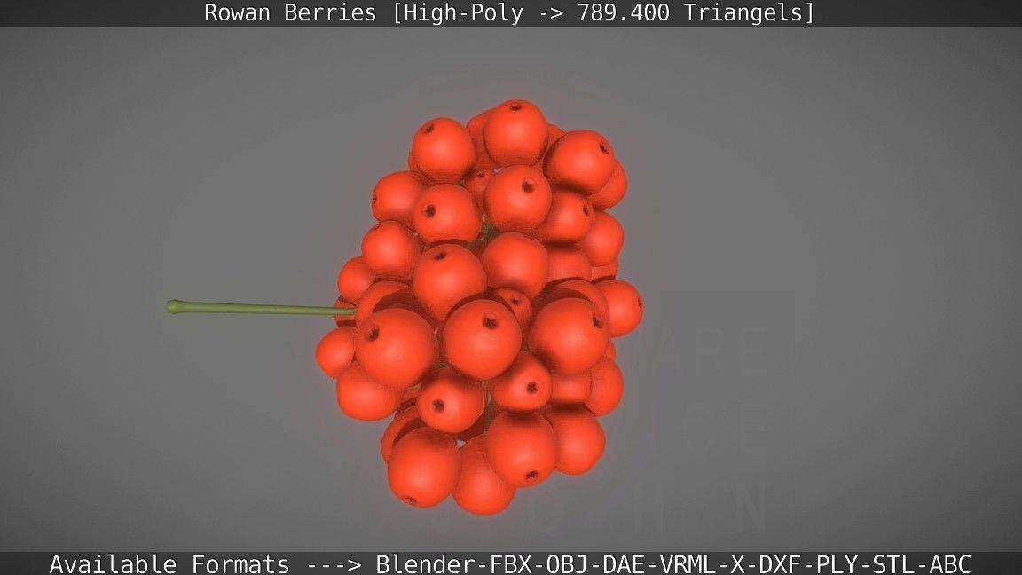 Rowan Berries High Poly 3D model_31