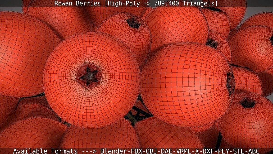 Rowan Berries High Poly 3D model_24