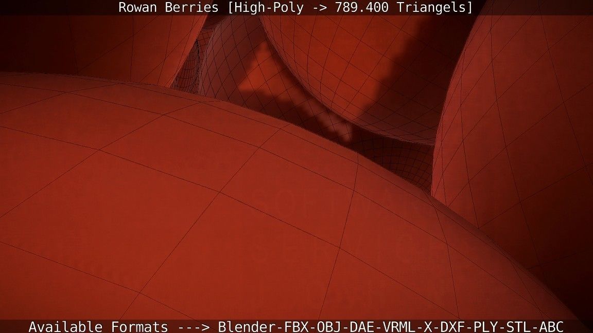 Rowan Berries High Poly 3D model_84