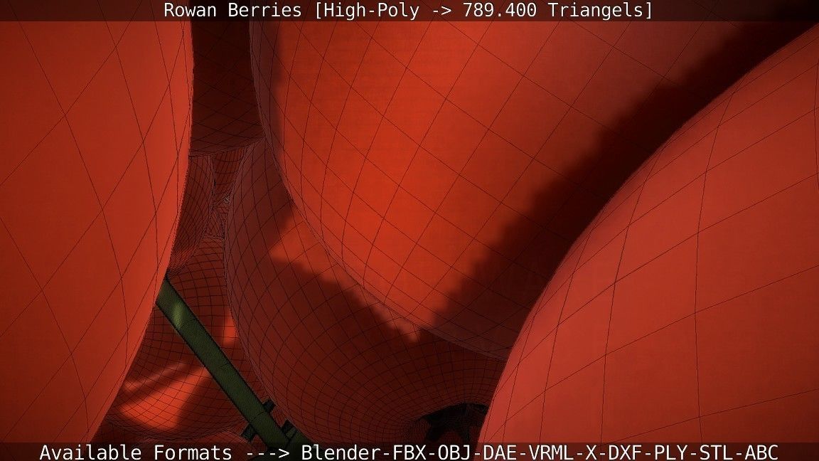 Rowan Berries High Poly 3D model_85