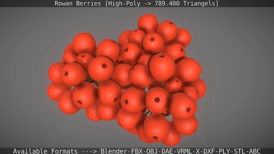 Rowan Berries High Poly 3D model_8