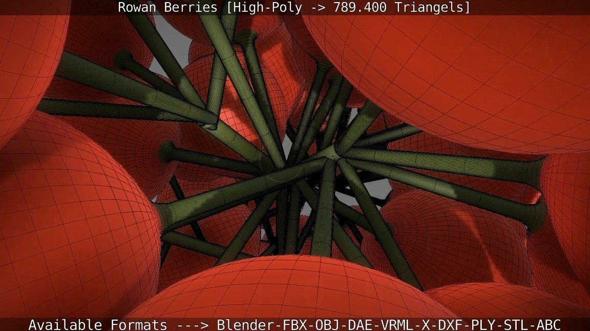 Rowan Berries High Poly 3D model_98