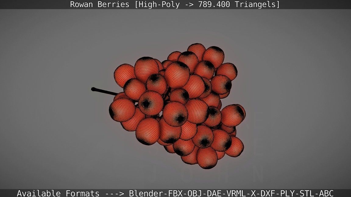 Rowan Berries High Poly 3D model_117