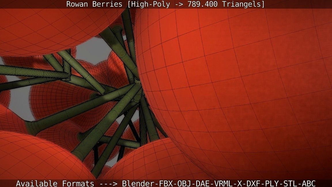 Rowan Berries High Poly 3D model_101