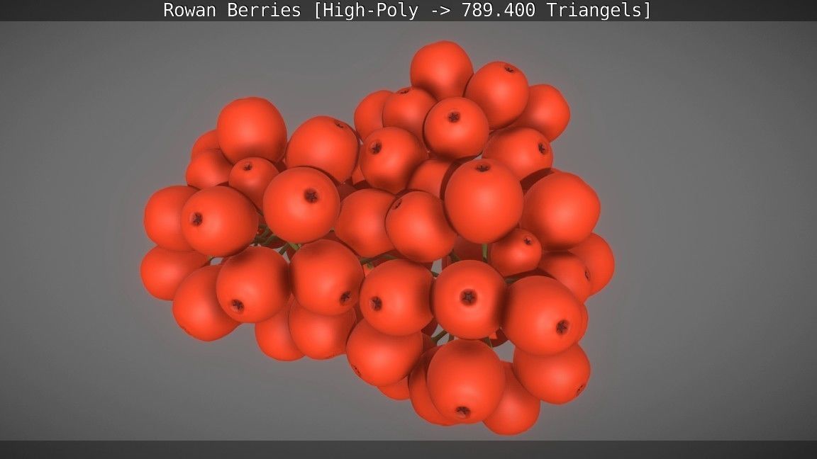 Rowan Berries High Poly 3D model_2