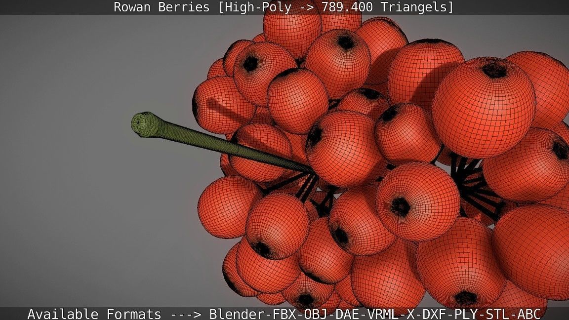 Rowan Berries High Poly 3D model_126