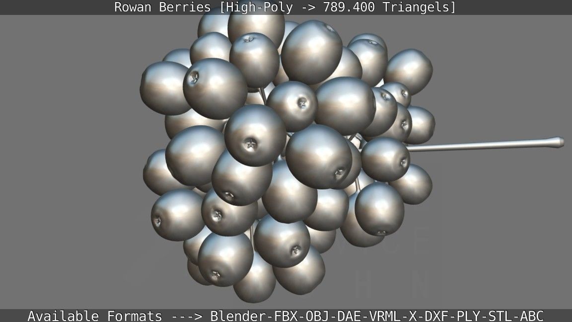 Rowan Berries High Poly 3D model_141