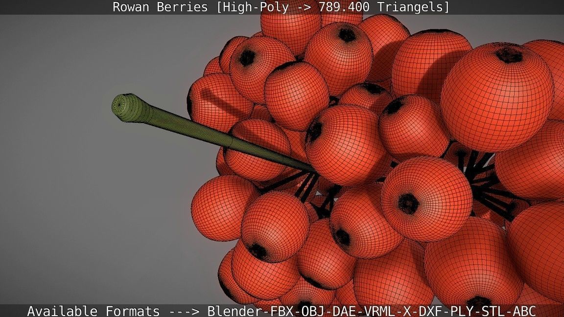Rowan Berries High Poly 3D model_42