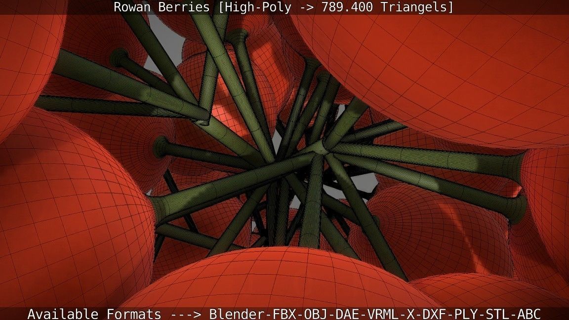 Rowan Berries High Poly 3D model_99