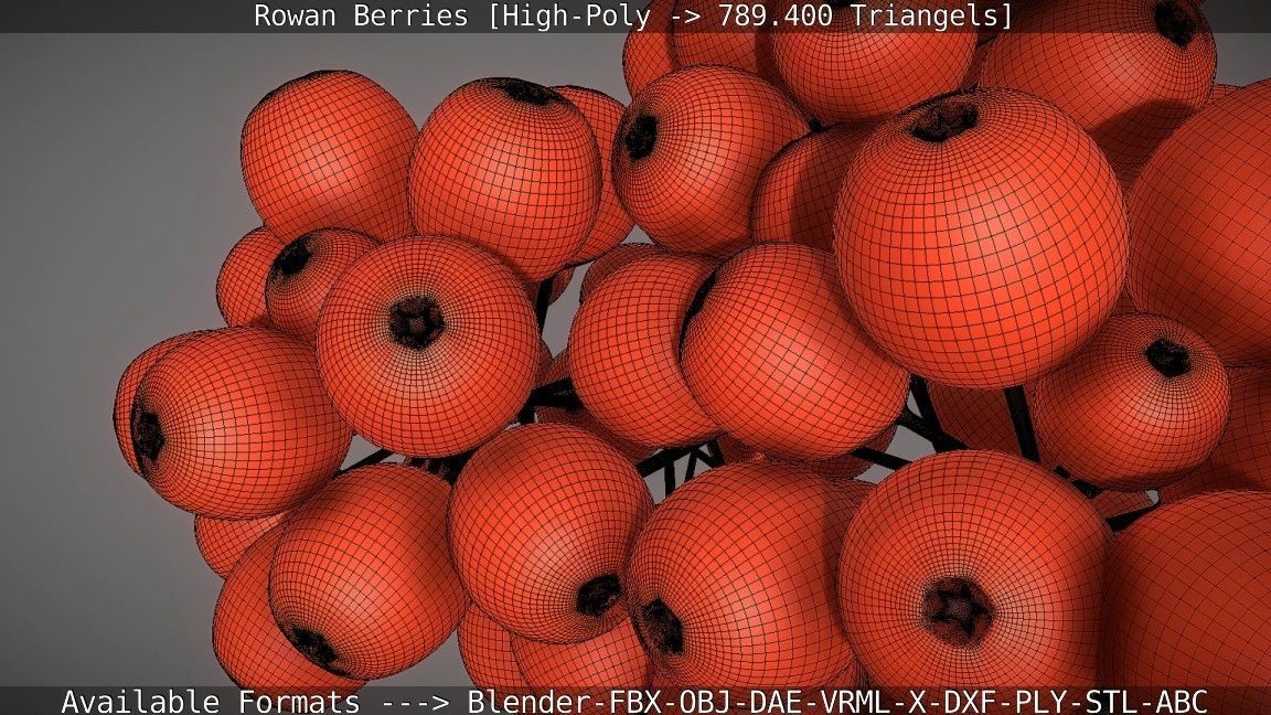 Rowan Berries High Poly 3D model_114
