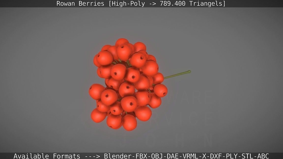 Rowan Berries High Poly 3D model_12