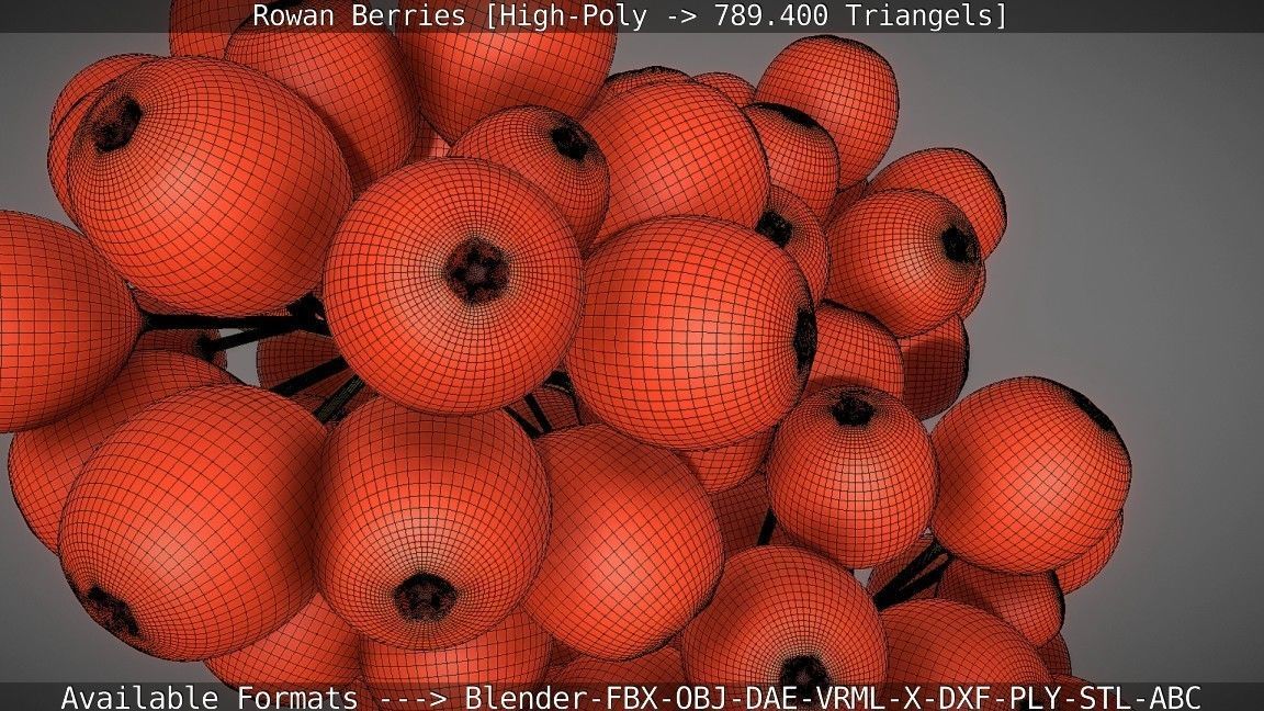 Rowan Berries High Poly 3D model_62