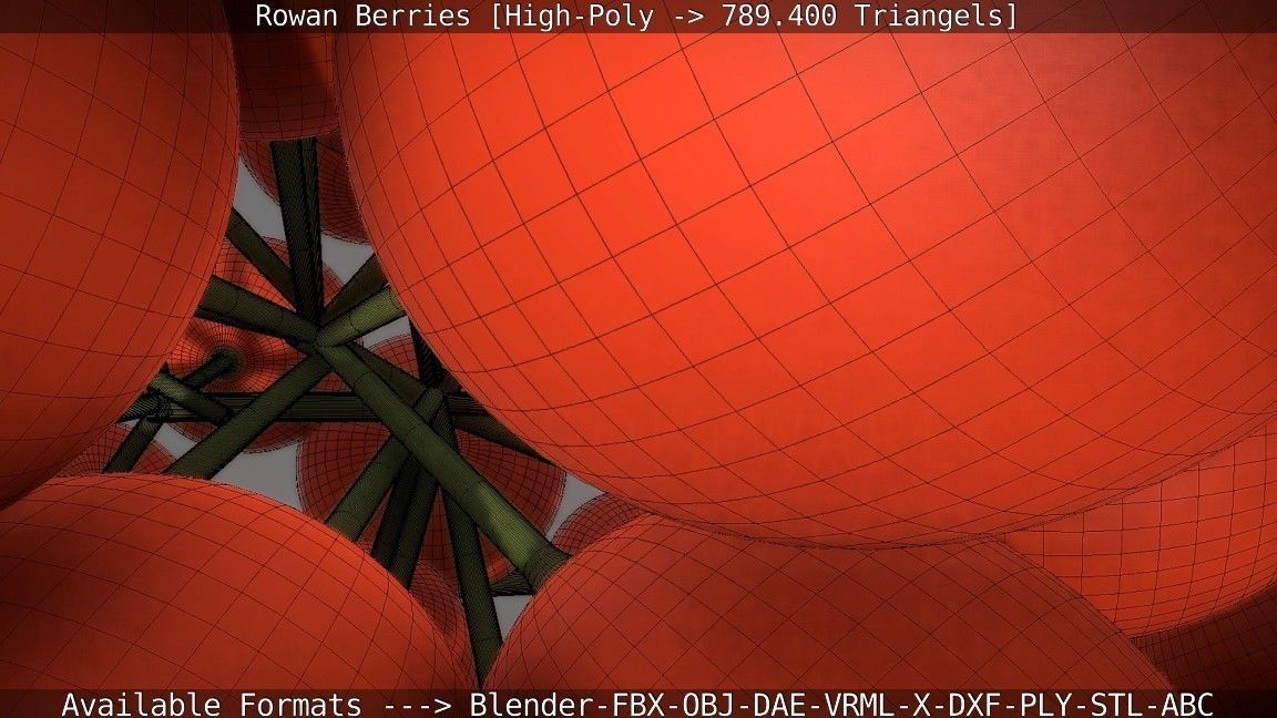 Rowan Berries High Poly 3D model_95